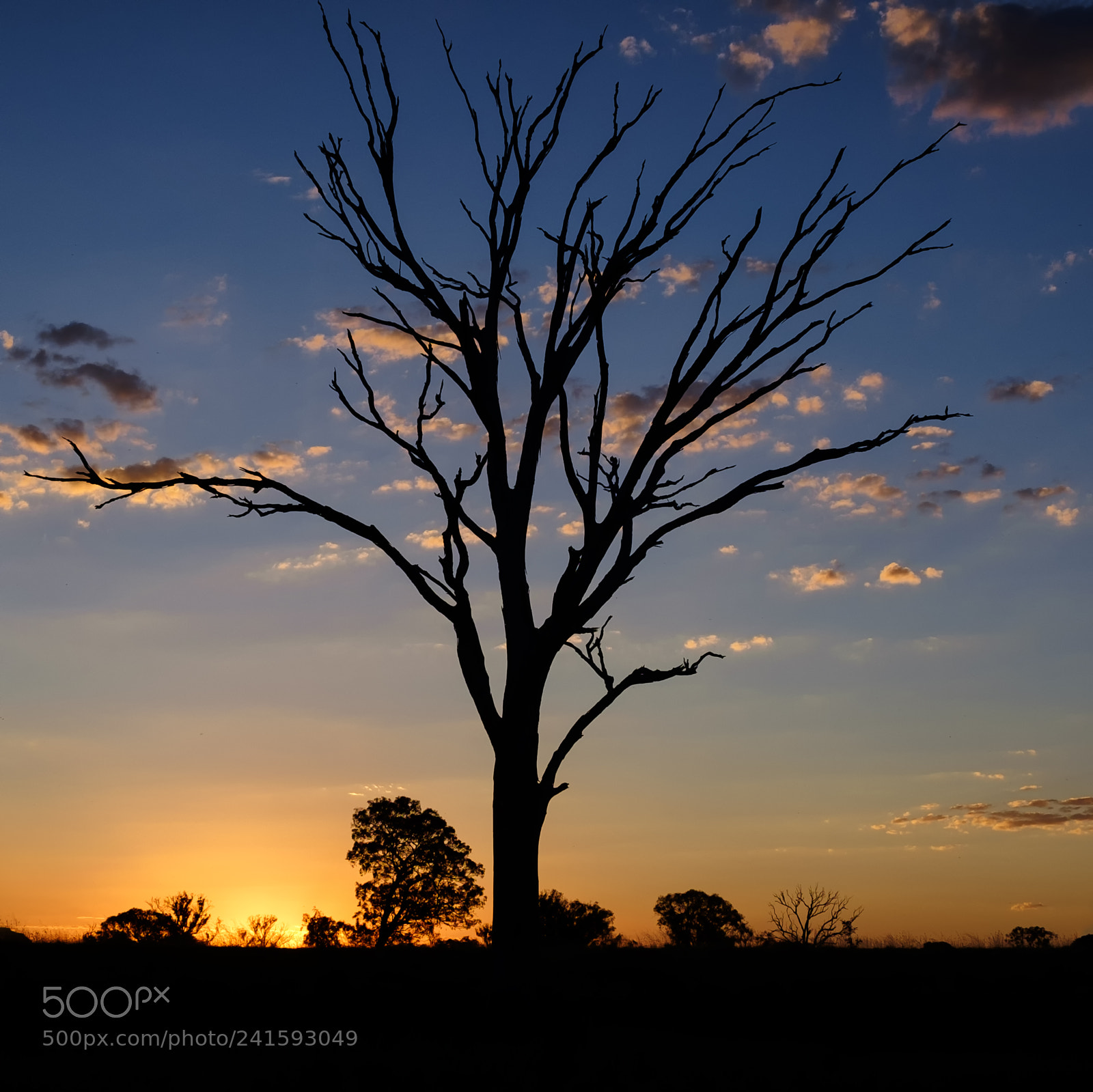 Fujifilm X-E2 sample photo. Sunset silhouette photography