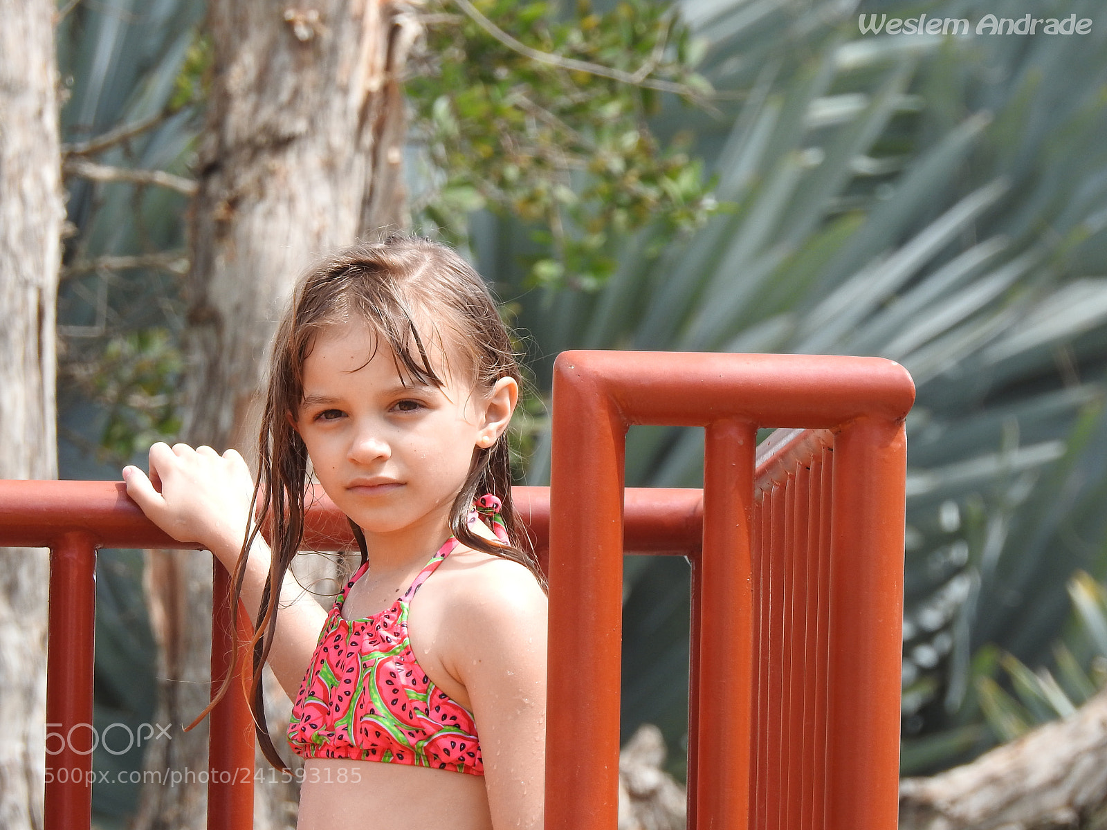 Nikon Coolpix P900 sample photo. Isabela photography