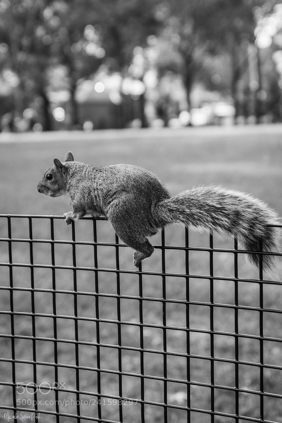 Nikon D7200 sample photo. Summer in new york photography