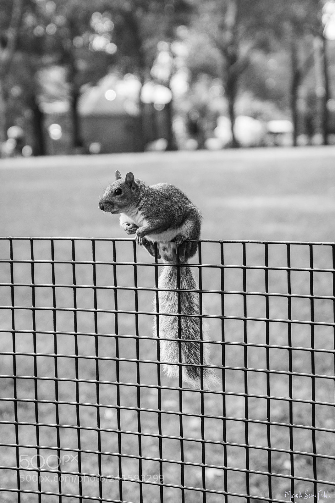 Nikon D7200 sample photo. Summer in new york photography