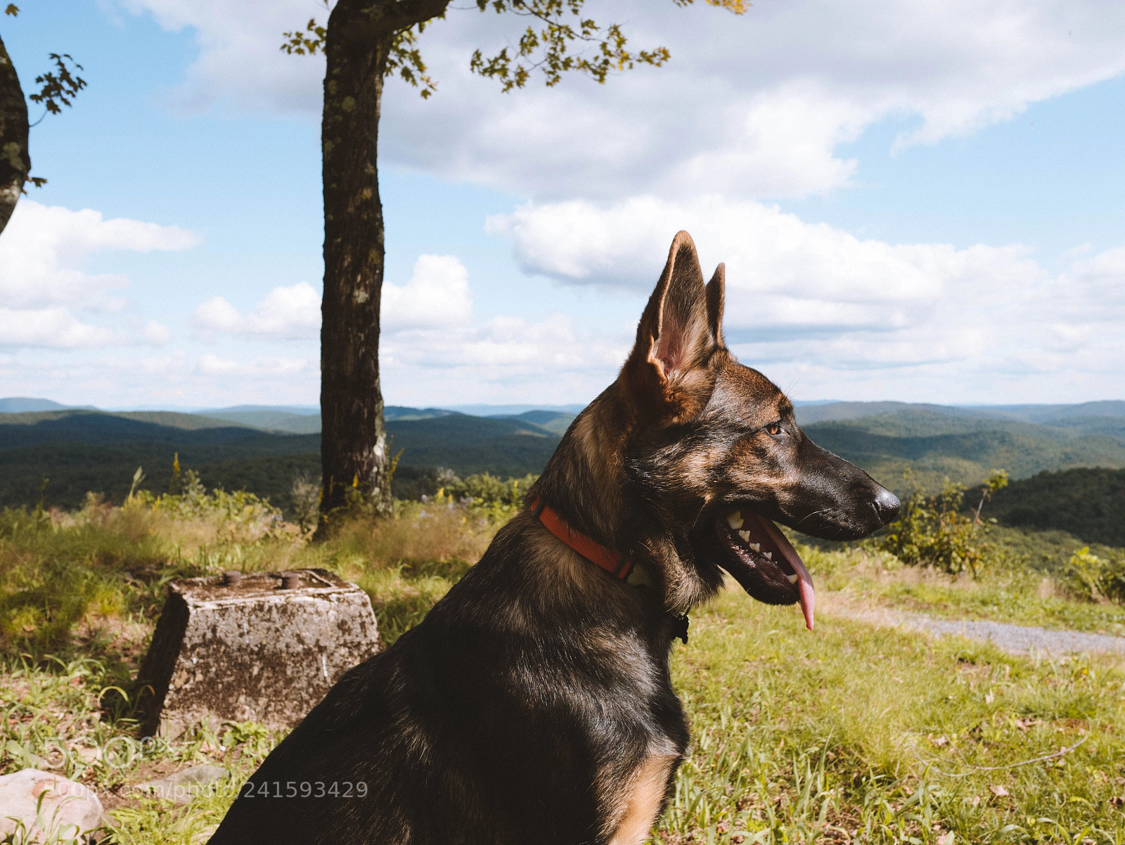 Panasonic Lumix DMC-GX85 (Lumix DMC-GX80 / Lumix DMC-GX7 Mark II) sample photo. Tucker at 4,000 feet photography