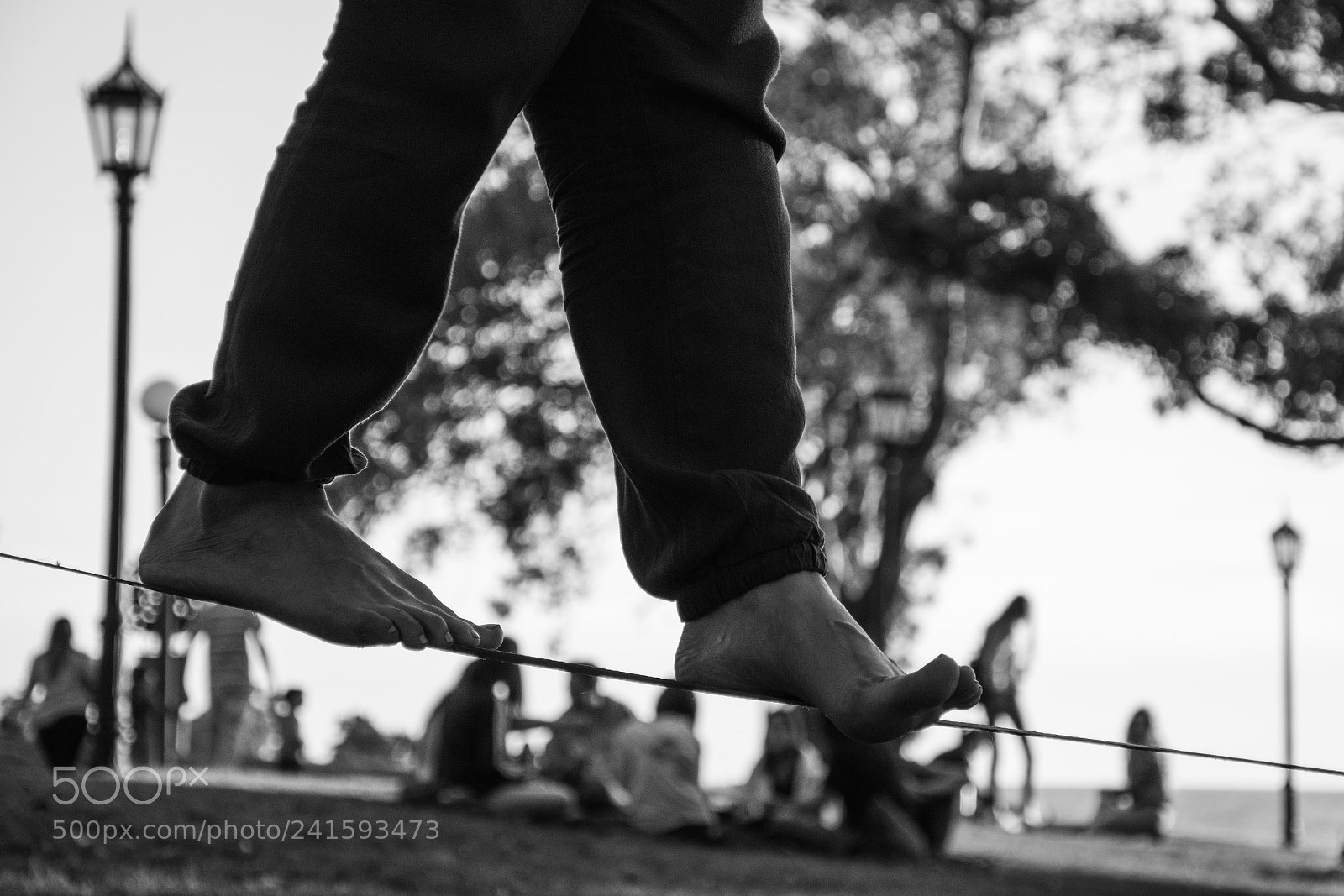 Nikon D7200 sample photo. Untitled photography