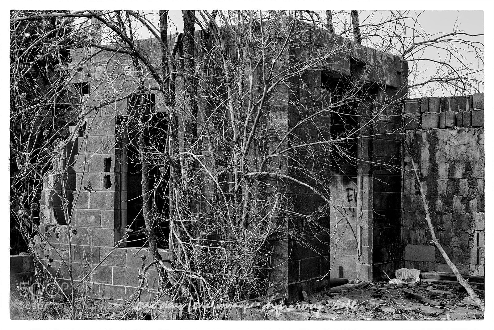 Leica M Monochrom (Typ 246) sample photo. The remains, in the photography