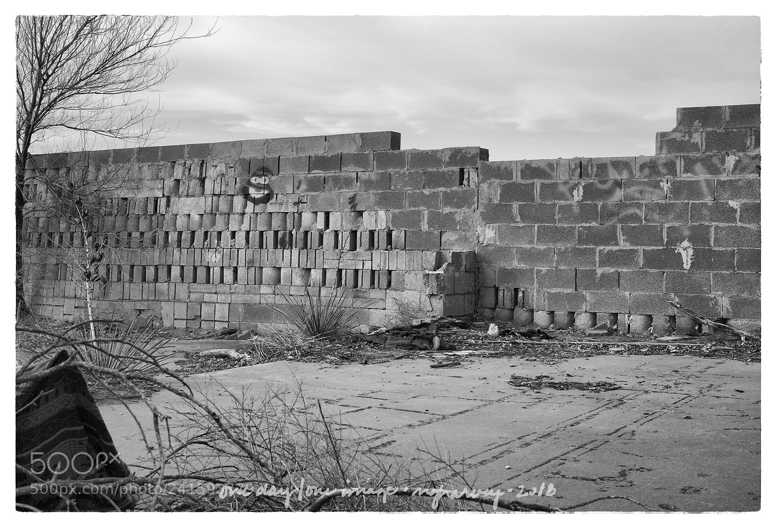 Leica M Monochrom (Typ 246) sample photo. Walled photography