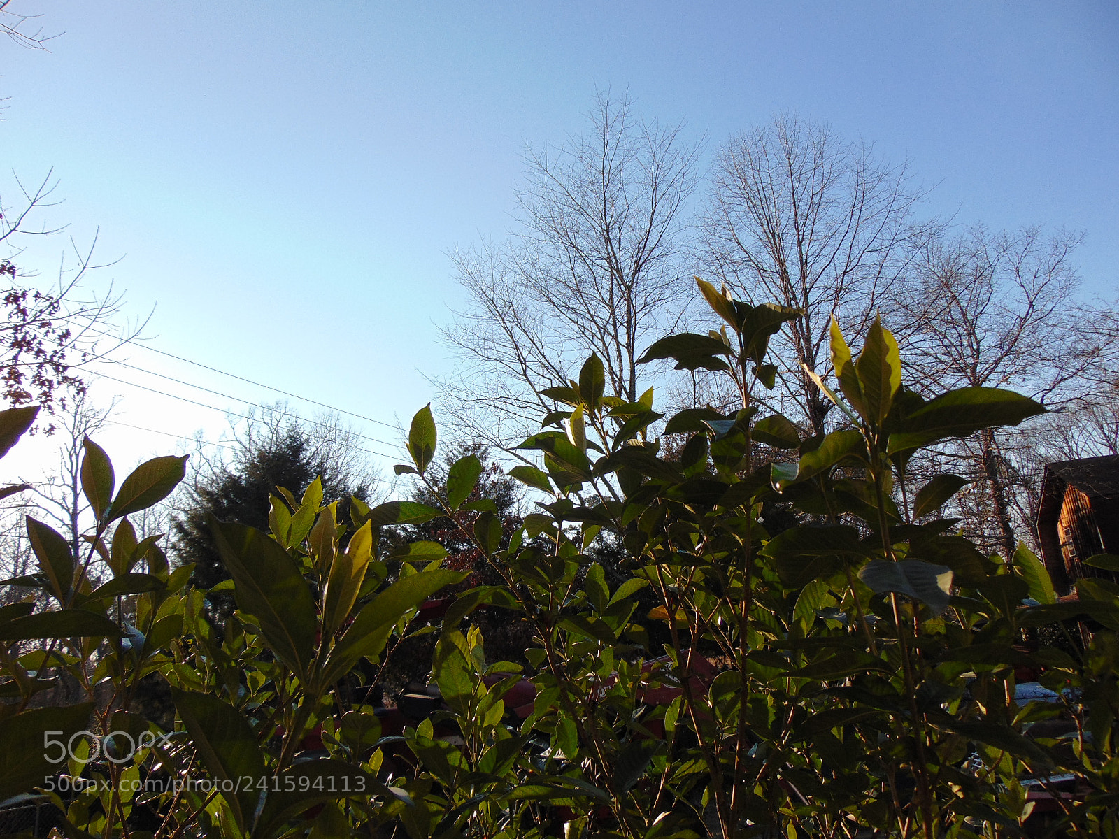 Sony Cyber-shot DSC-H300 sample photo. Dsc photography