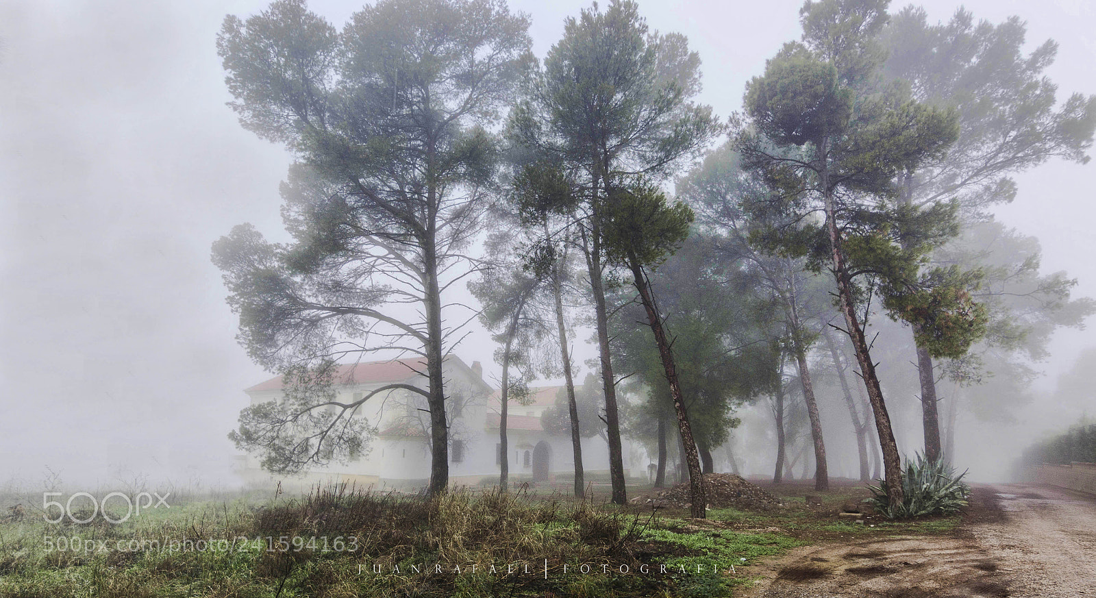 Nikon D3100 sample photo. Niebla photography