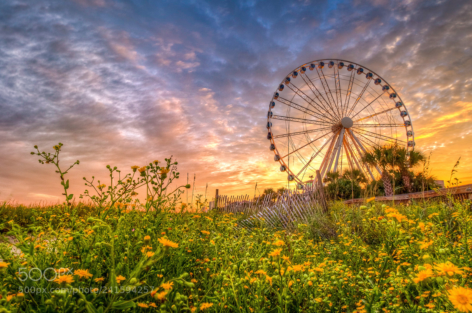 Canon EOS 700D (EOS Rebel T5i / EOS Kiss X7i) sample photo. Skywheel sunset photography