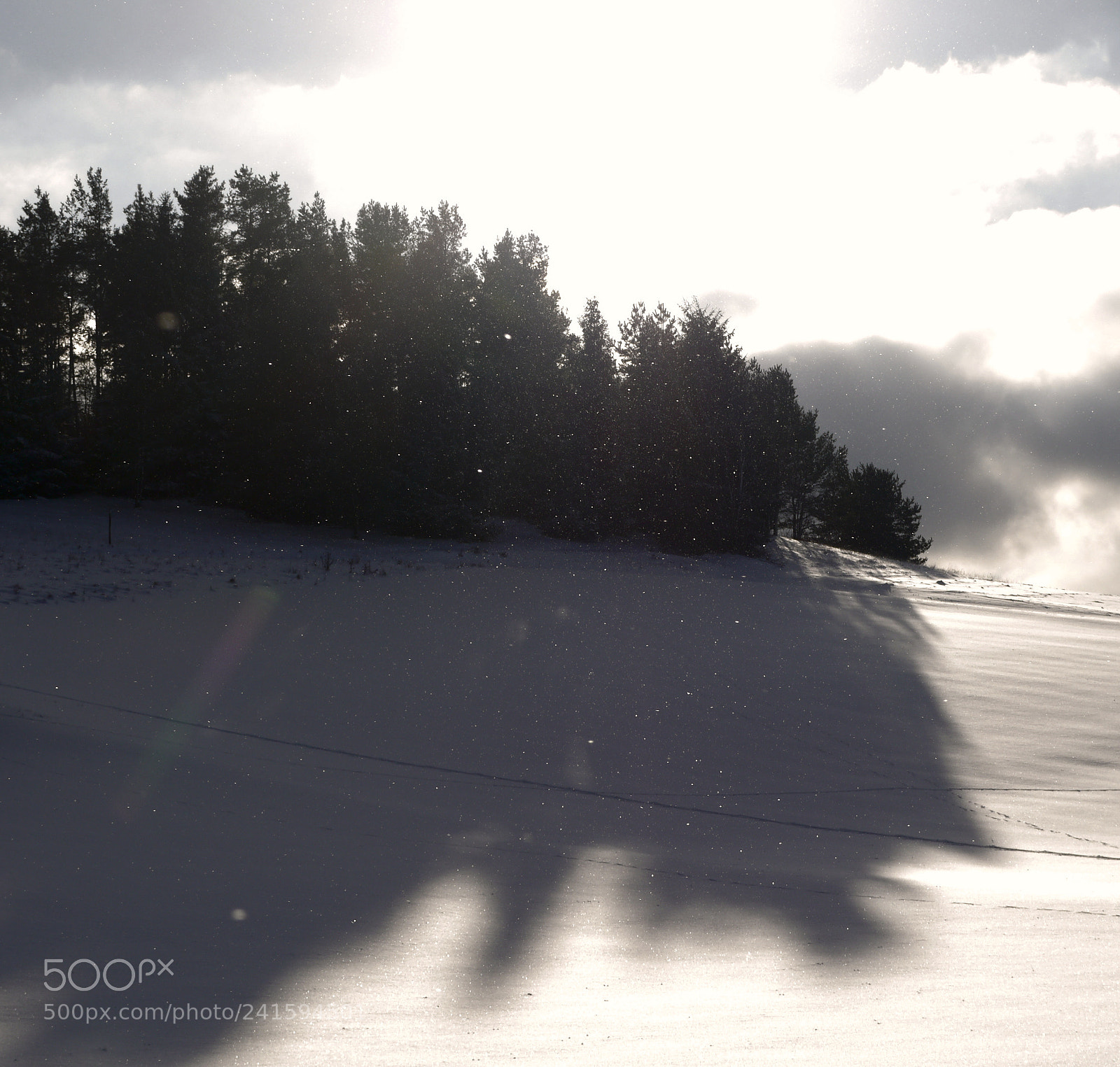Panasonic Lumix DMC-G5 sample photo. Dancing snow photography
