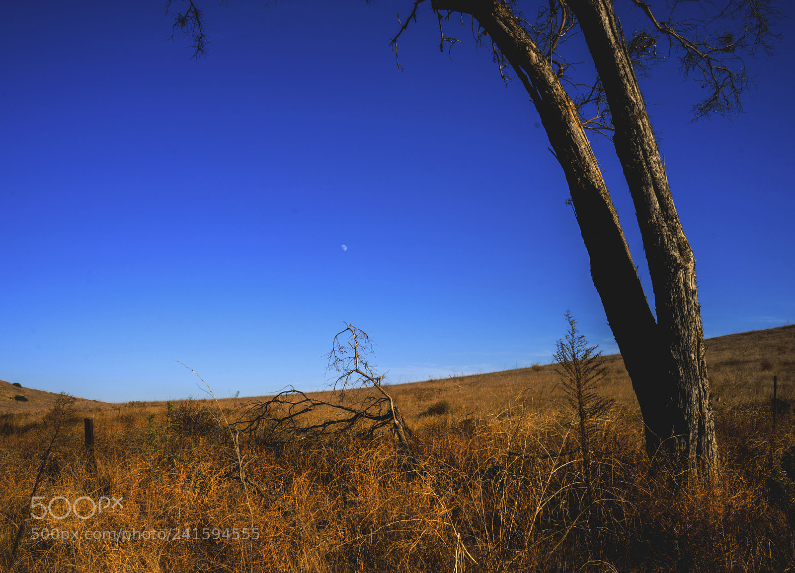 Sony a7 sample photo. End of the day photography