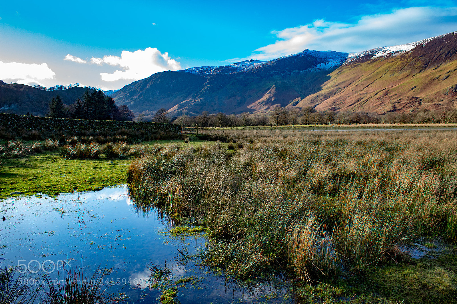 Canon EOS 1300D (EOS Rebel T6 / EOS Kiss X80) sample photo. Flooded meadow with mountains photography
