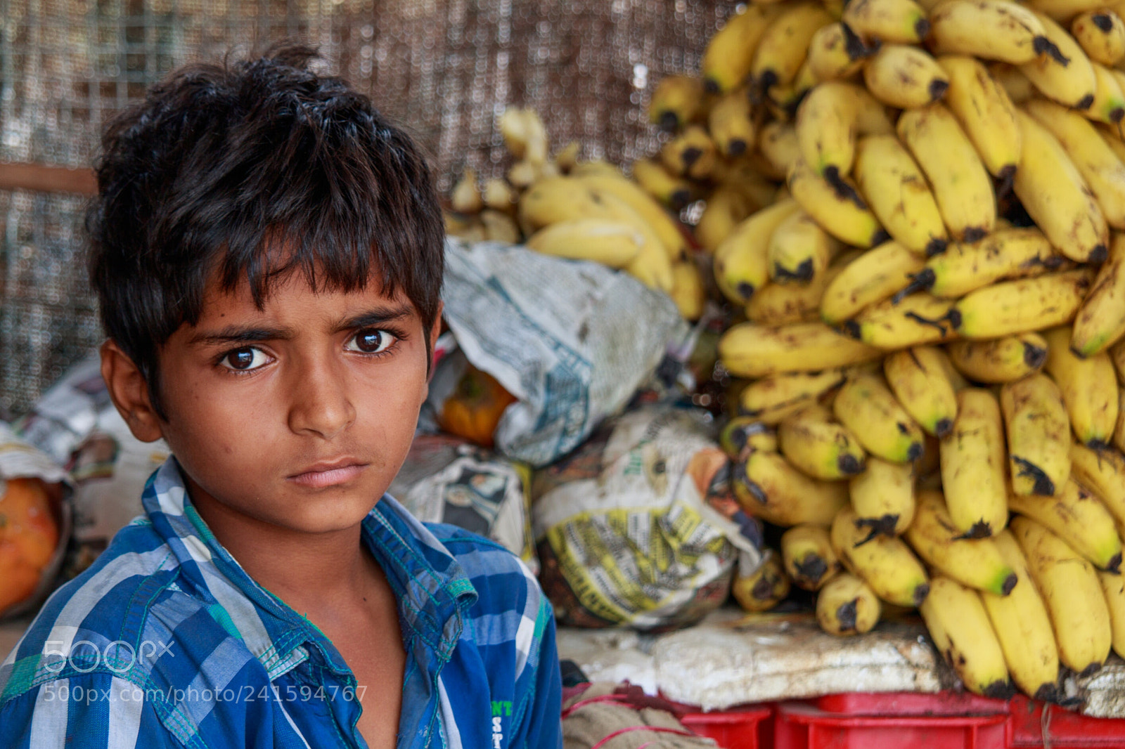 Canon EOS 750D (EOS Rebel T6i / EOS Kiss X8i) sample photo. The eyes of a photography