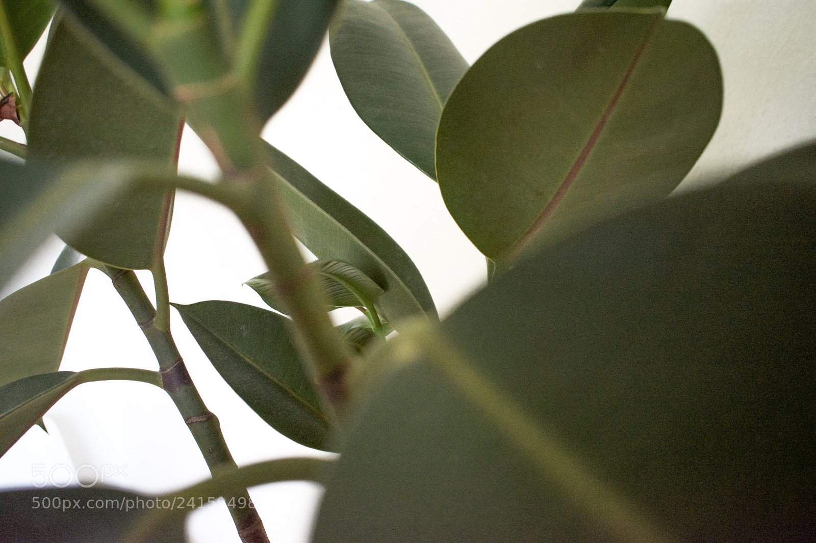 Nikon D3400 sample photo. Untitled photography