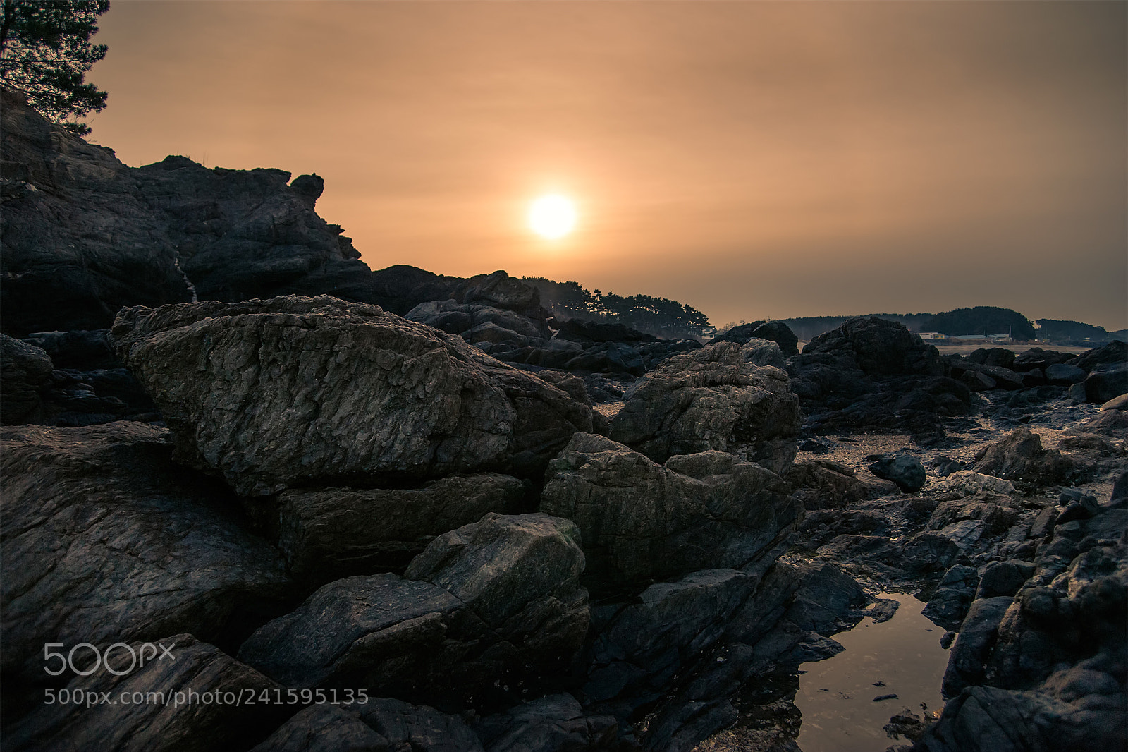 Nikon D700 sample photo. Sunrise at the rocky photography