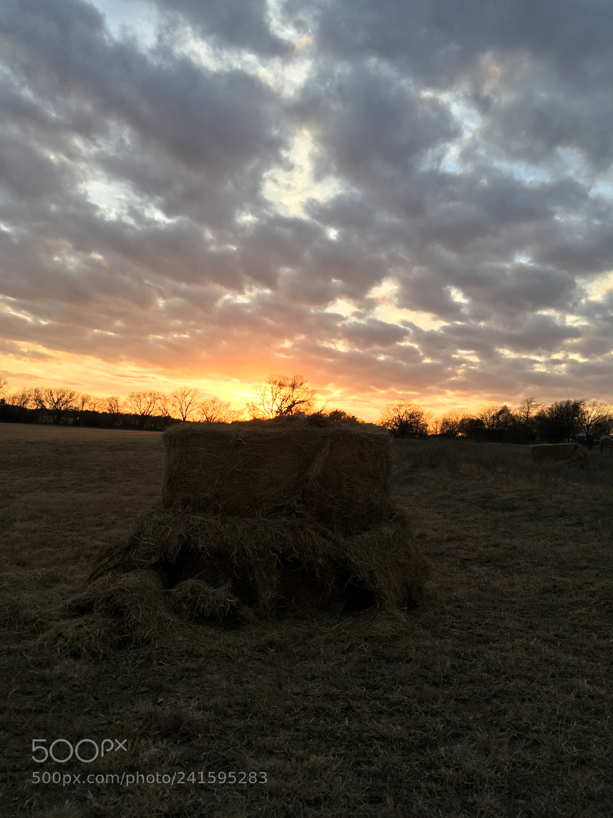Apple iPhone SE sample photo. Sunset on the farm photography