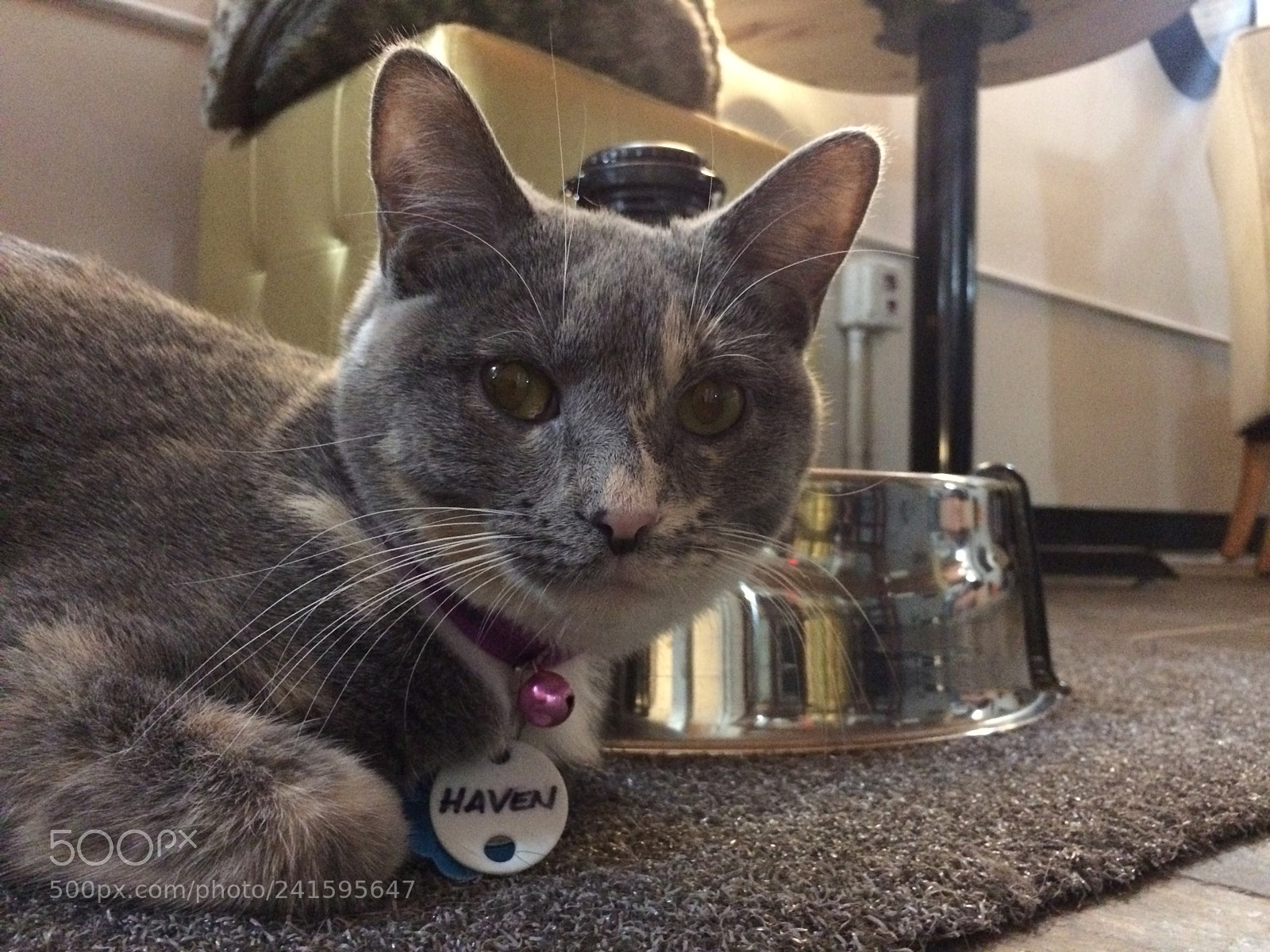 Apple iPhone 5s sample photo. Haven photography