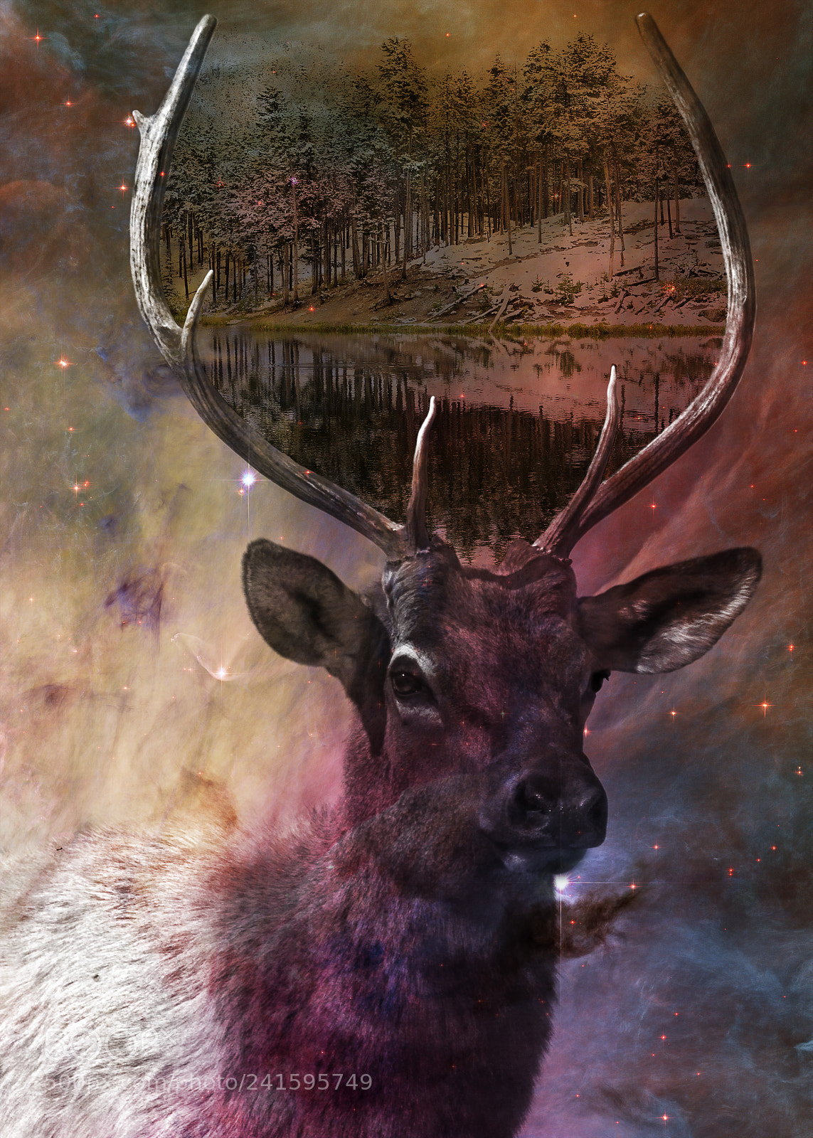 Canon EOS 650D (EOS Rebel T4i / EOS Kiss X6i) sample photo. Cosmic elk photography