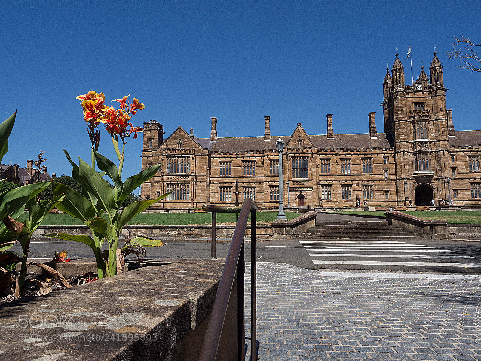 Olympus OM-D E-M10 II sample photo. Sydney university photography