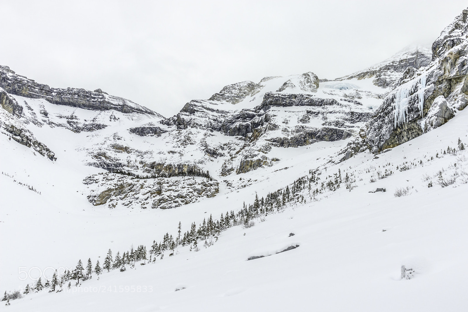 Canon EOS M5 sample photo. Winter in the stanley photography