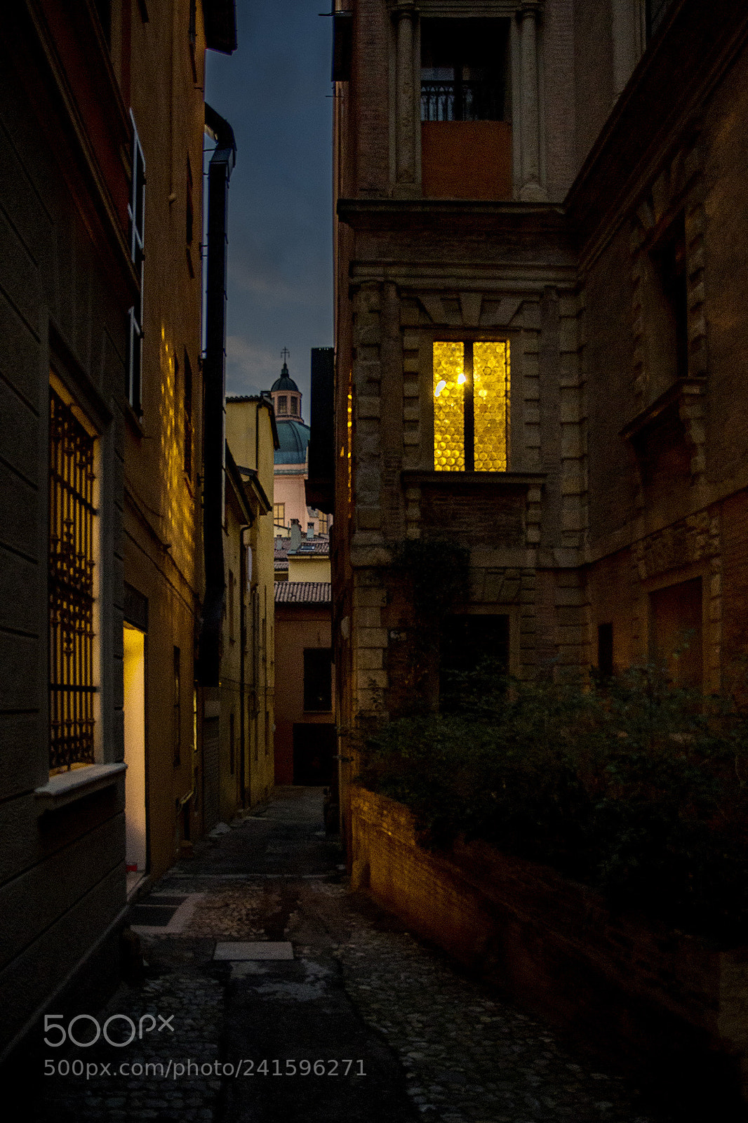 Nikon D500 sample photo. A photography