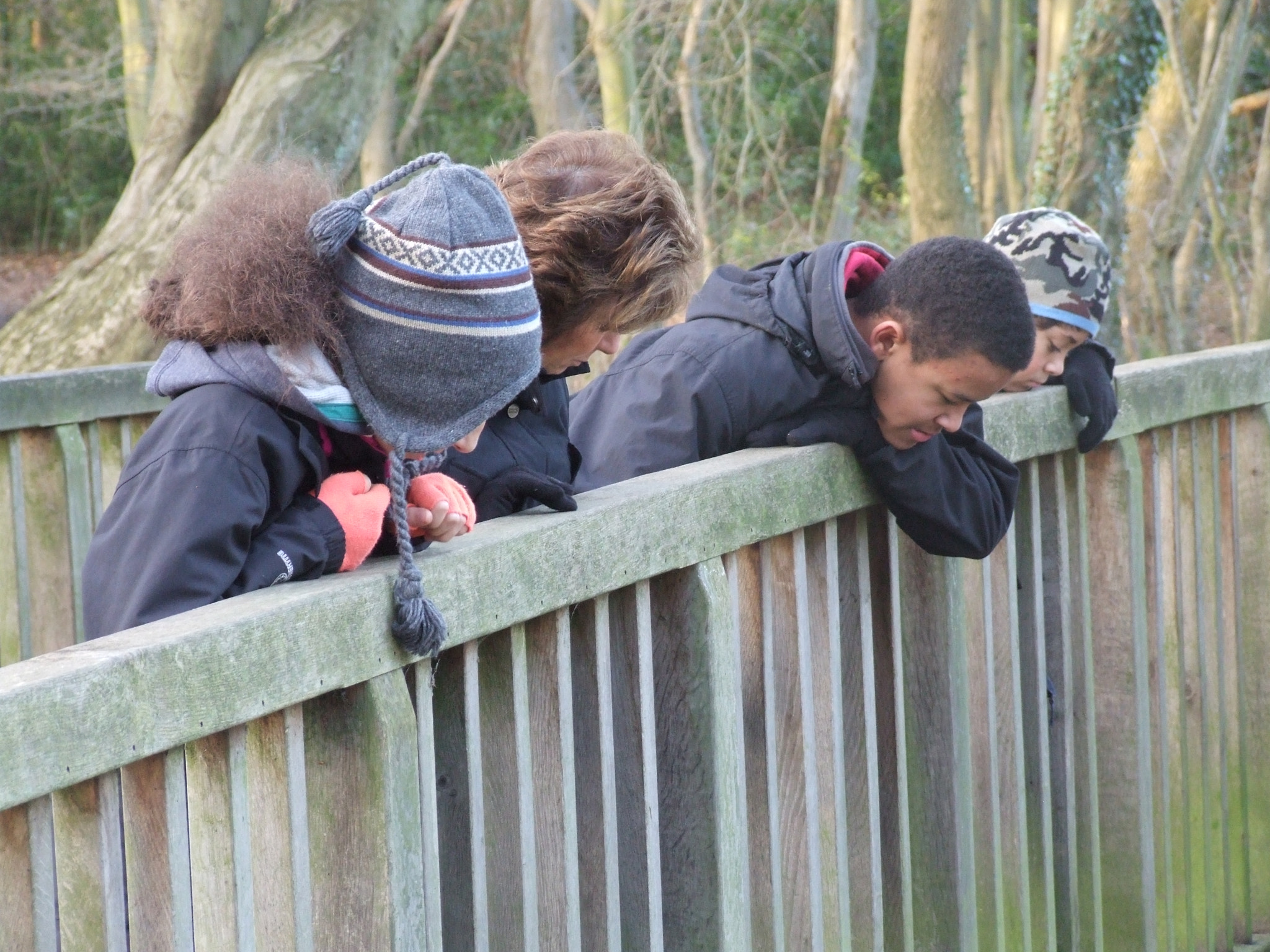 Fujifilm FinePix S9600 sample photo. Pooh sticks photography