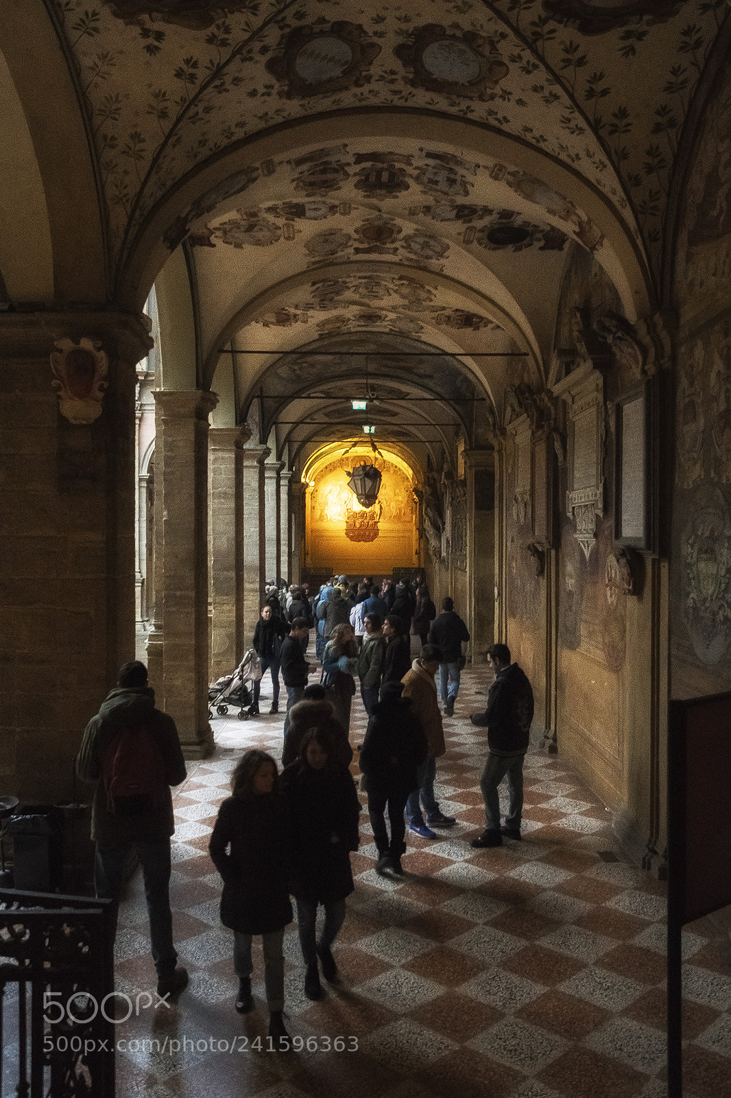 Nikon D500 sample photo. Dsc photography