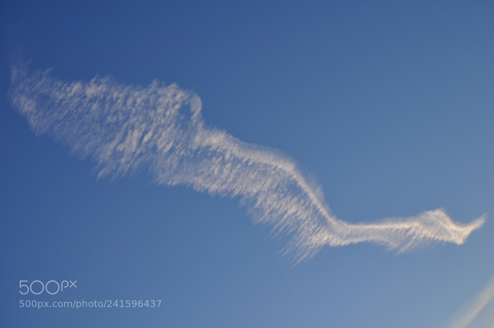 Nikon D5000 sample photo. Kodachromasome photography