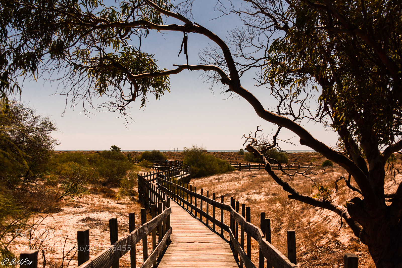Nikon D7100 sample photo. Walking to the sea photography