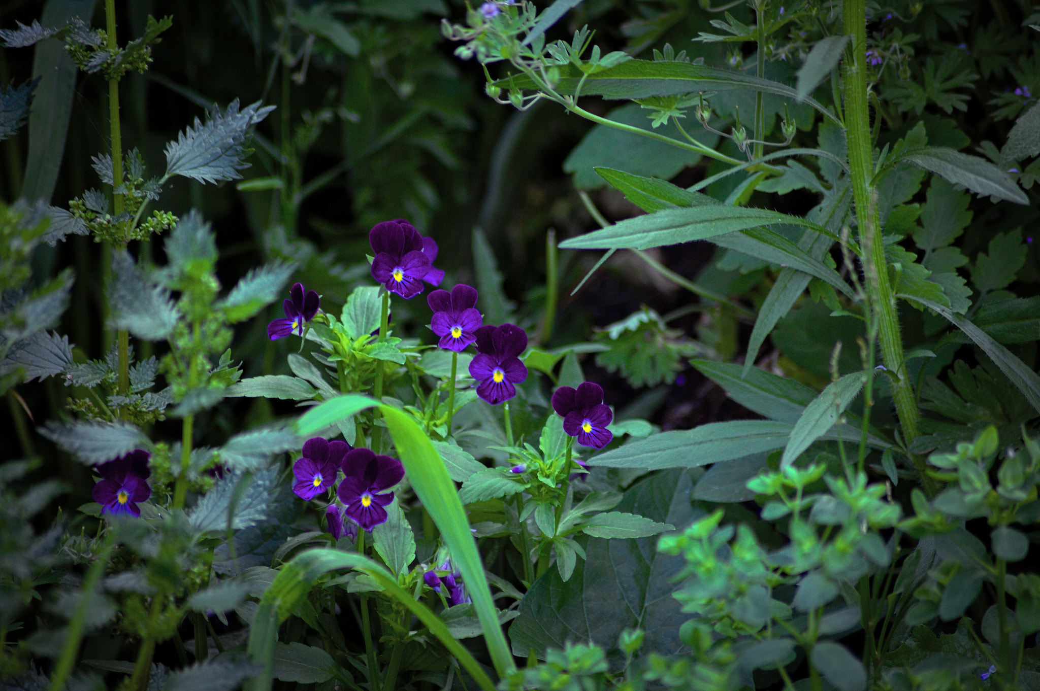 Canon EOS 5D sample photo. Img_4523.jpg photography