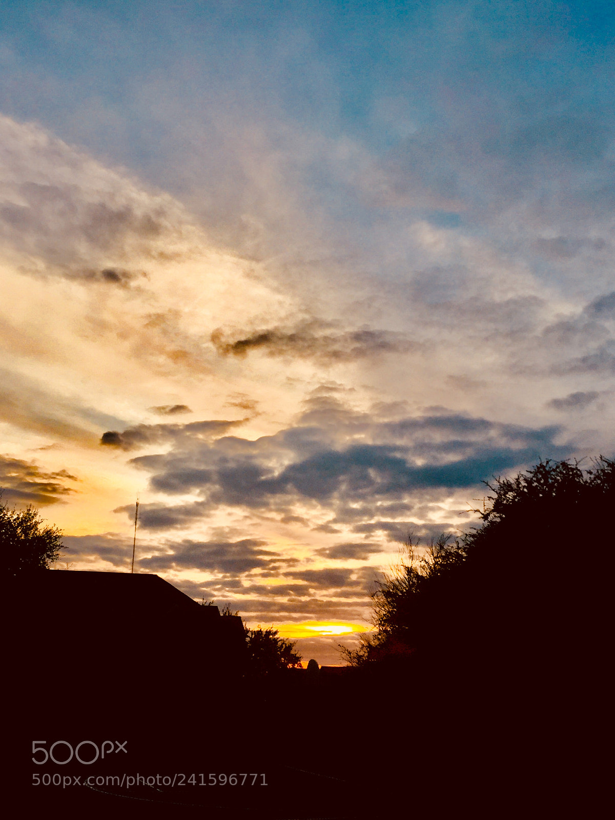 Apple iPhone 6 sample photo. Untitled photography