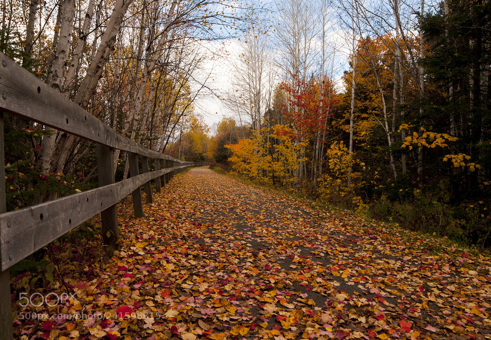 Nikon D90 sample photo. Fall photography