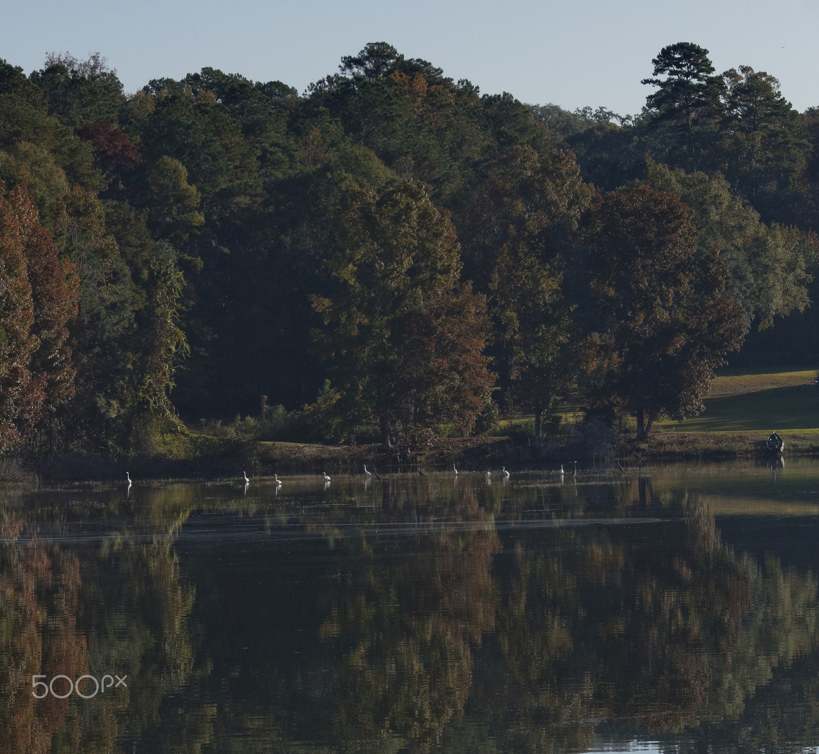 Canon EF-S 55-250mm F4-5.6 IS STM sample photo. The geese and the inlet ii photography