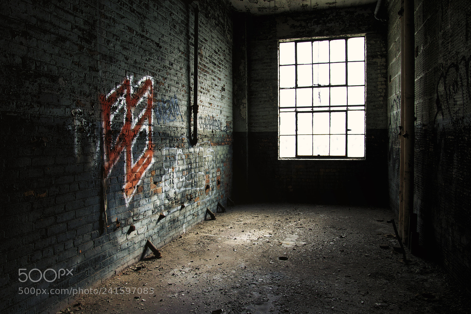 Nikon D600 sample photo. Untitled photography
