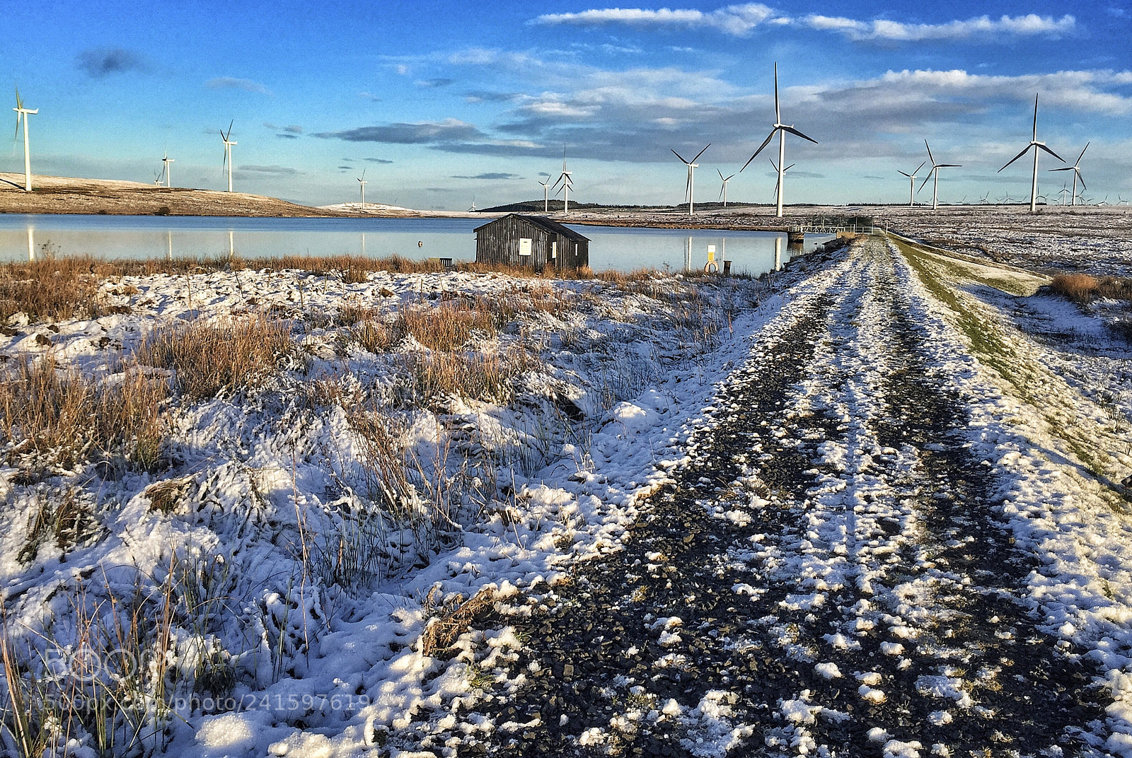 Apple iPhone 6 sample photo. Whitelee windfarm -6 photography