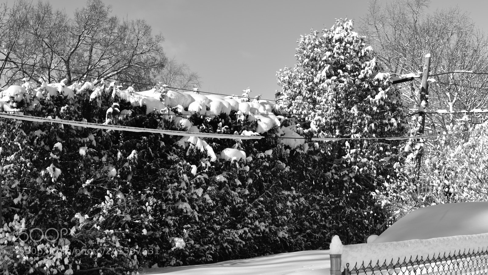 Nikon D5600 sample photo. Quite bush photography