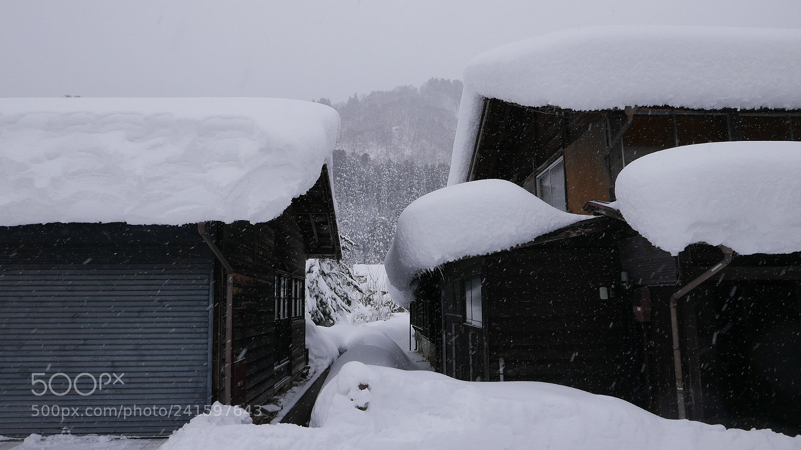 Leica D-Lux (Typ 109) sample photo. 雪屋。。。 photography