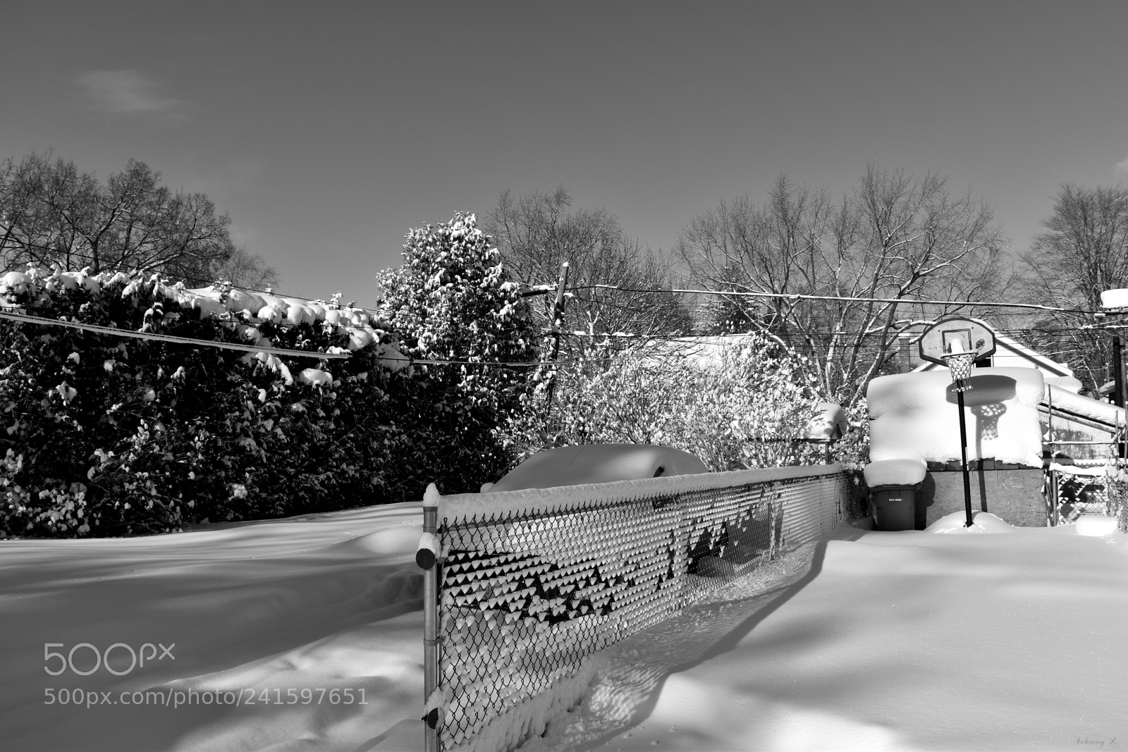 Nikon D5600 sample photo. A winter day photography