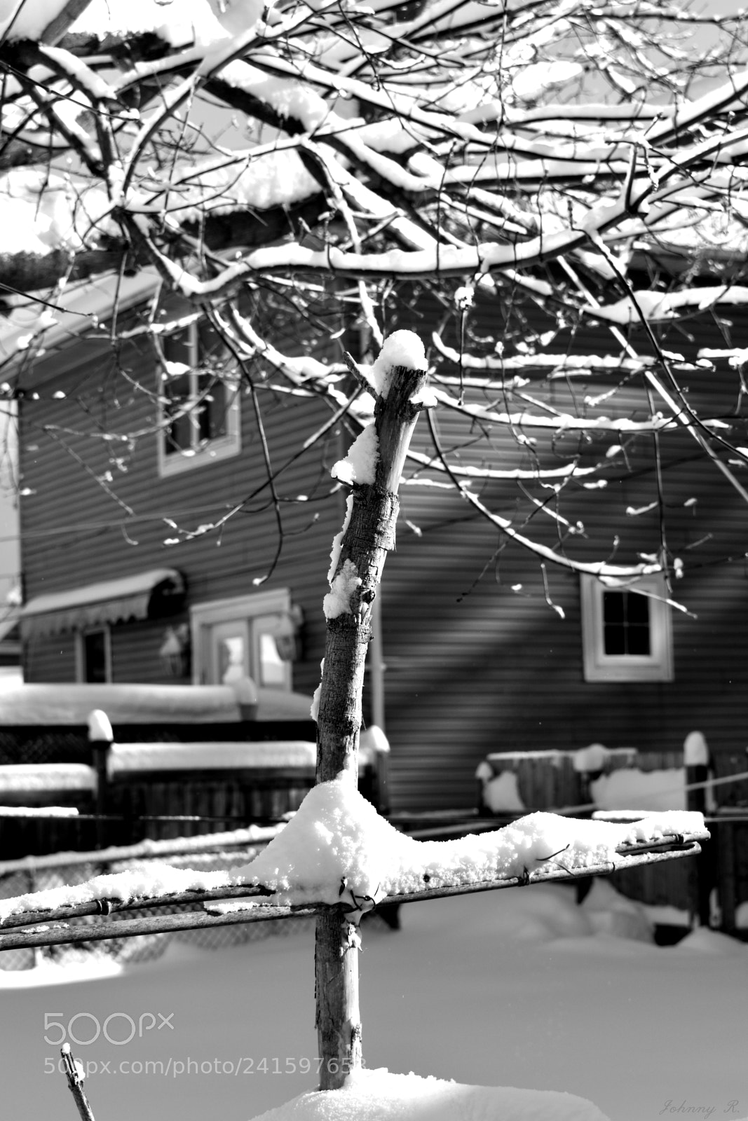 Nikon D5600 sample photo. Winter photography