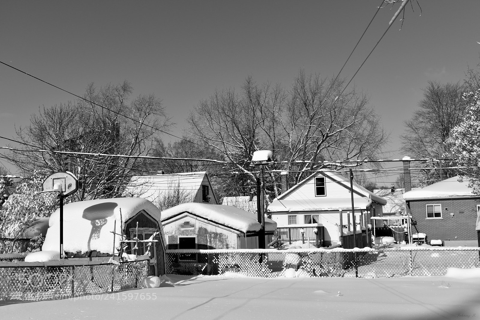 Nikon D5600 sample photo. Cold hollow winter photography