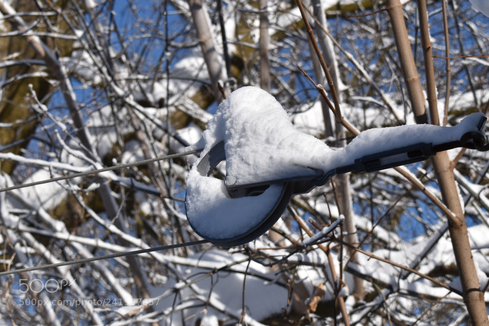 Nikon D5600 sample photo. Cold roller photography