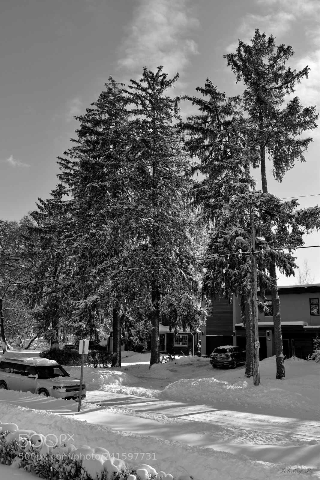 Nikon D5600 sample photo. January snow photography