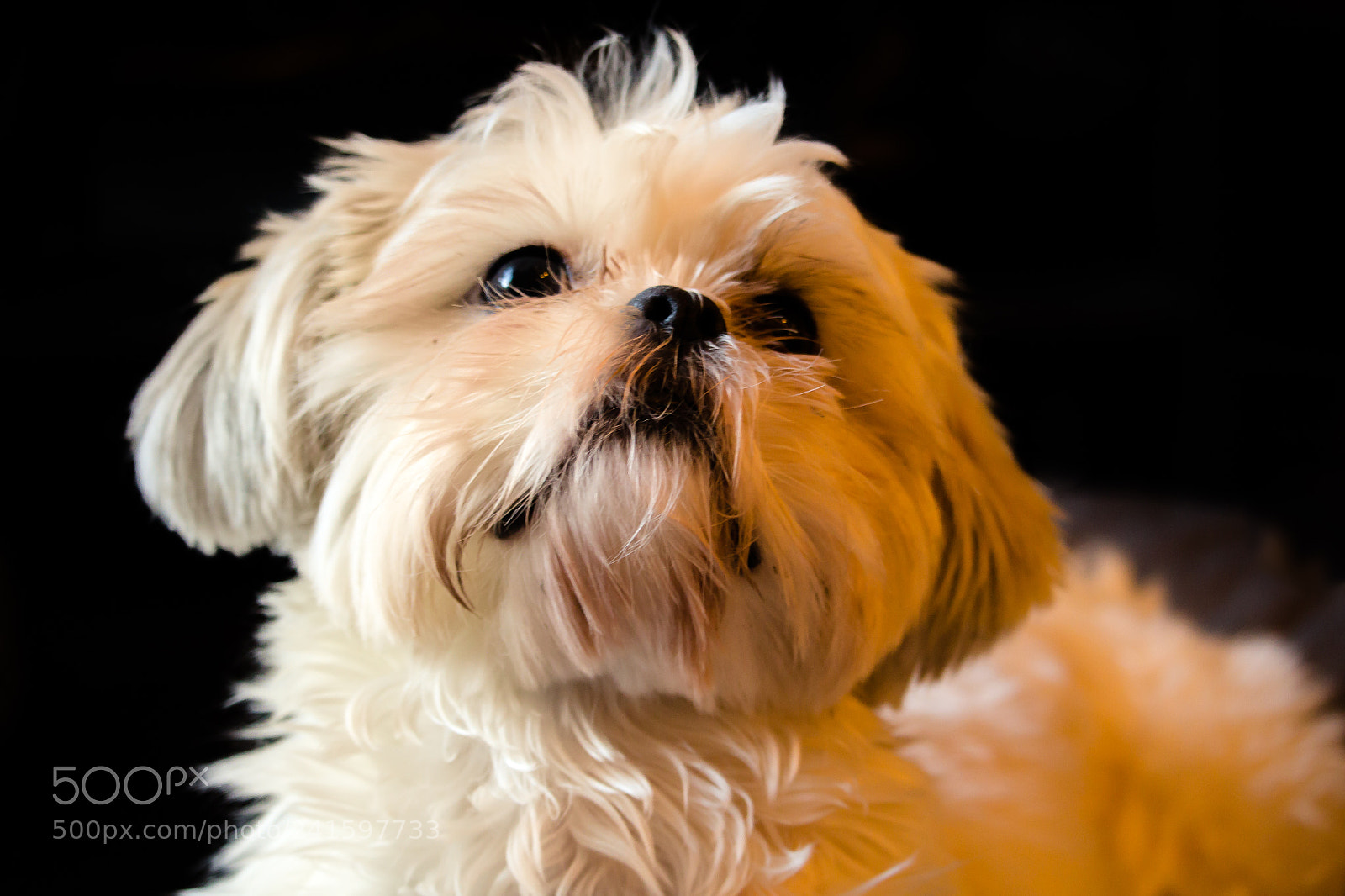 Canon EOS 1200D (EOS Rebel T5 / EOS Kiss X70 / EOS Hi) sample photo. Maybe it's maybel! photography