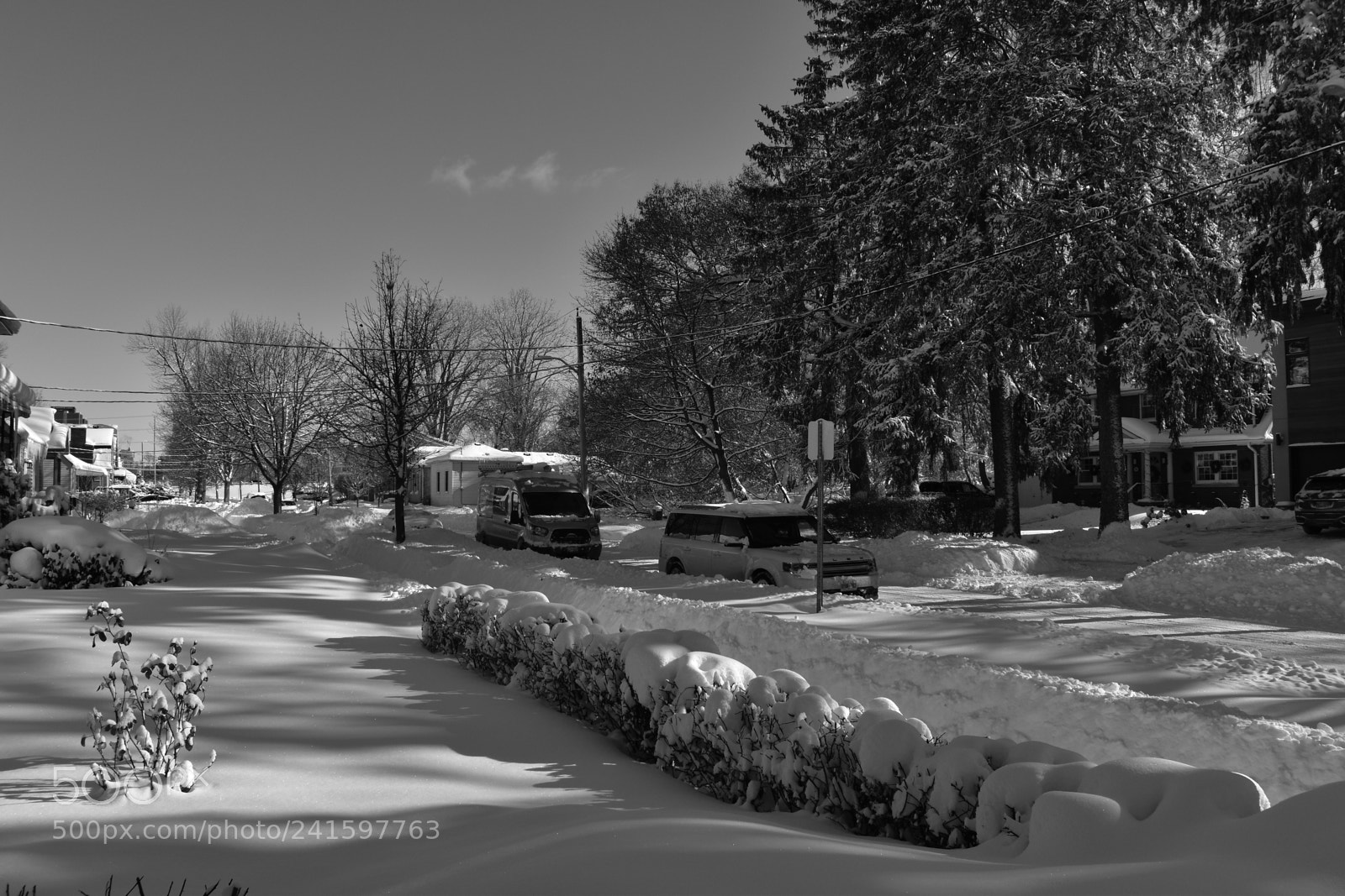 Nikon D5600 sample photo. Winter day photography