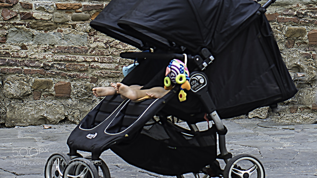 Nikon D800E sample photo. Carriage with feet photography