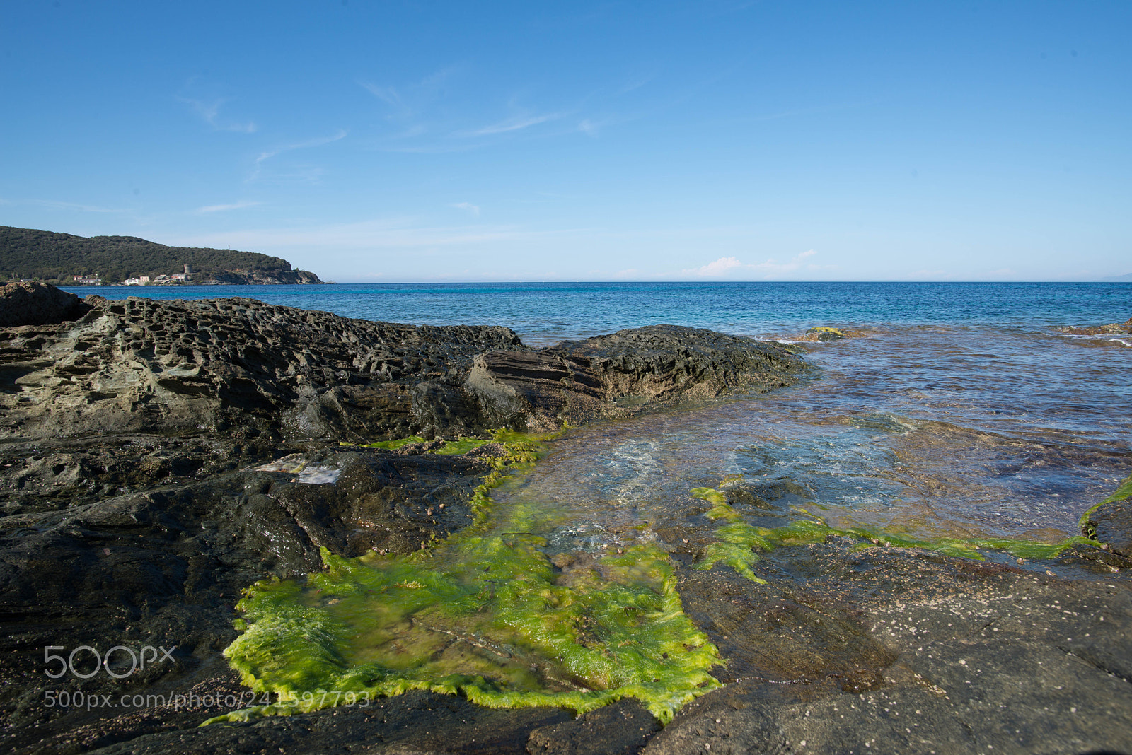 Nikon D800 sample photo. Cap corse photography
