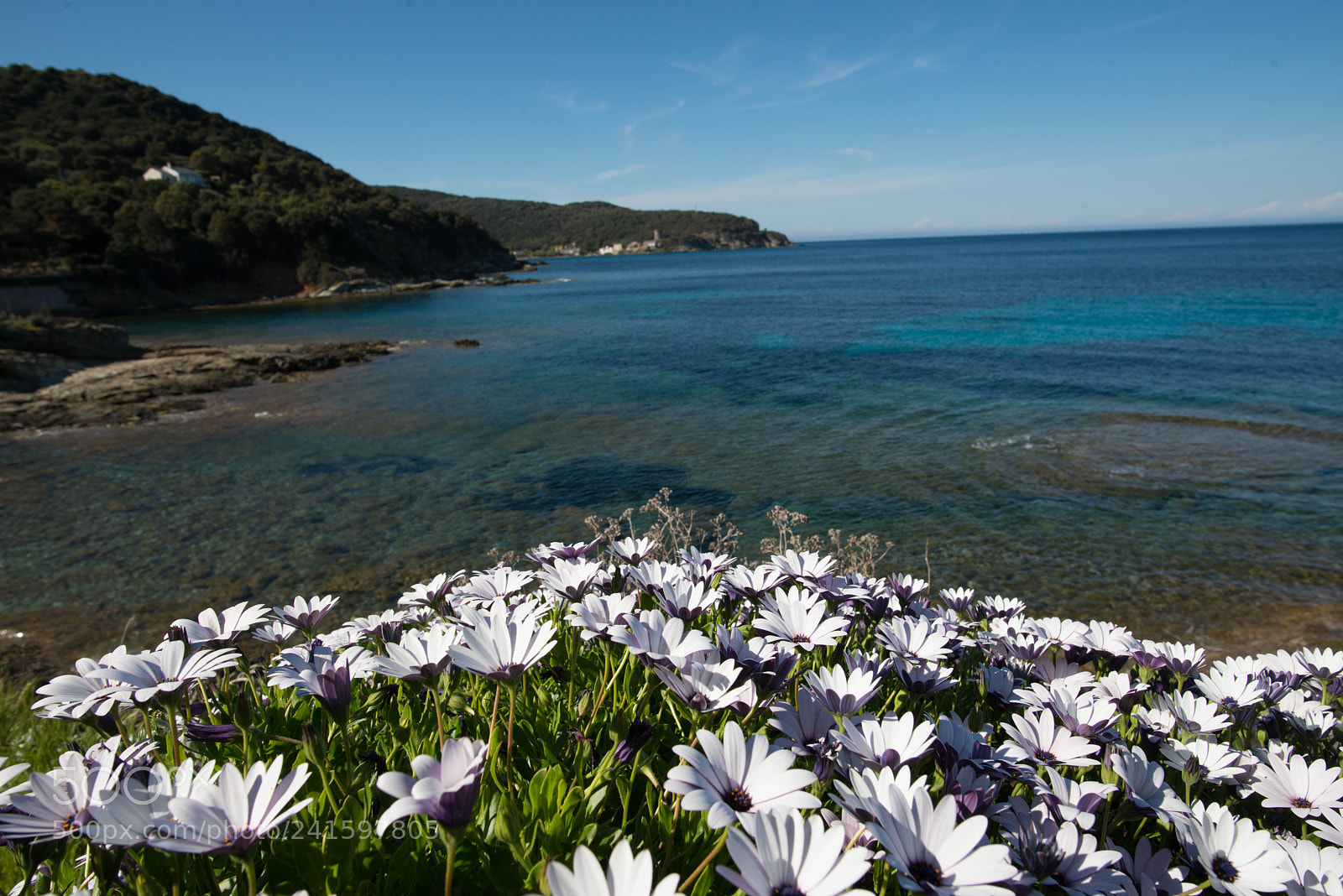 Nikon D800 sample photo. Cap corse photography