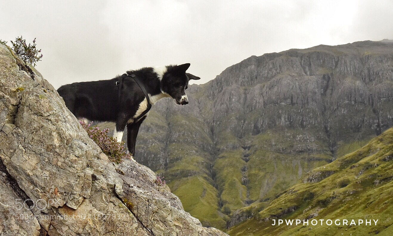 Nikon D7200 sample photo. Mr sam at glen photography