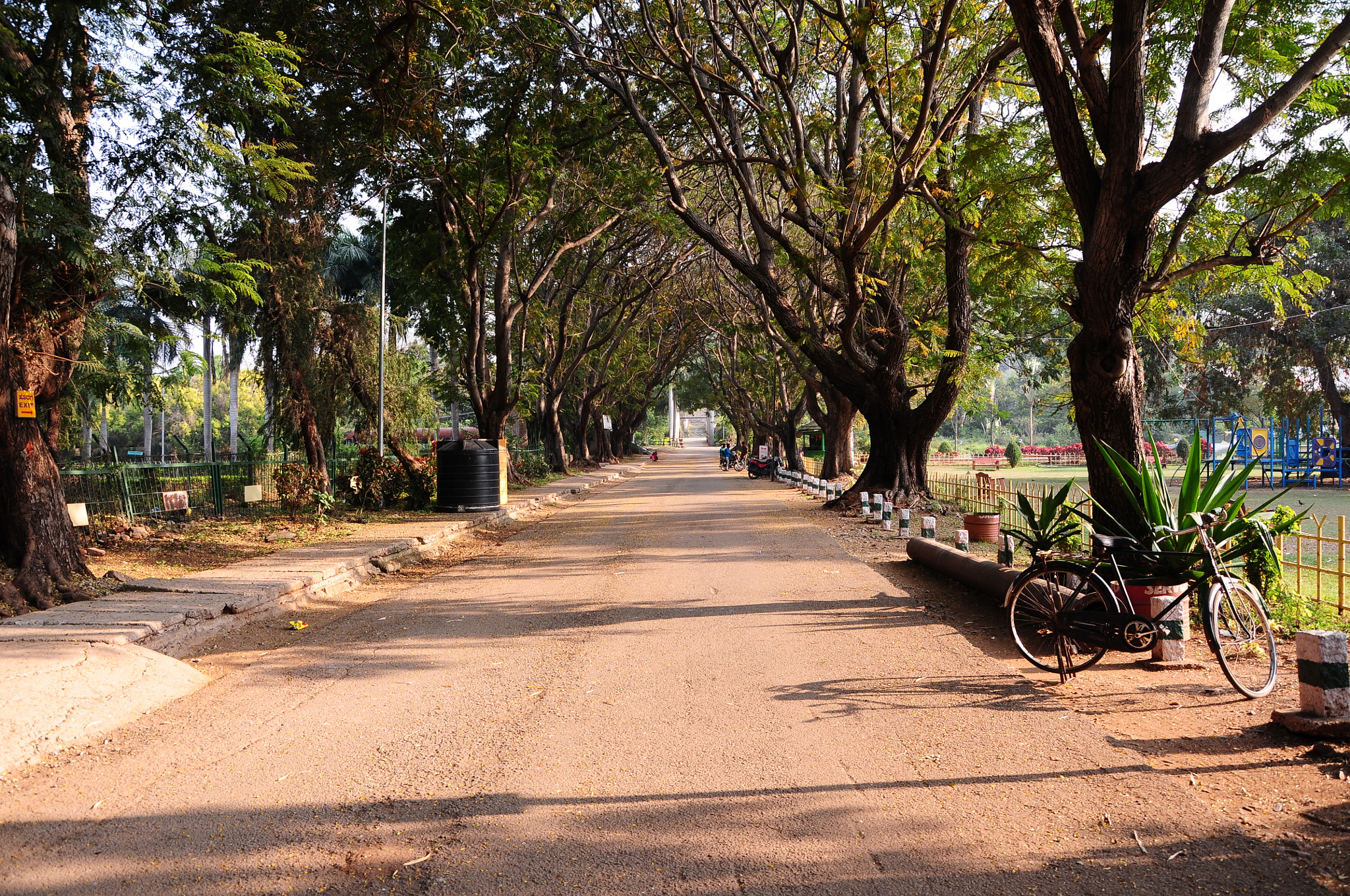 Nikon D300S sample photo