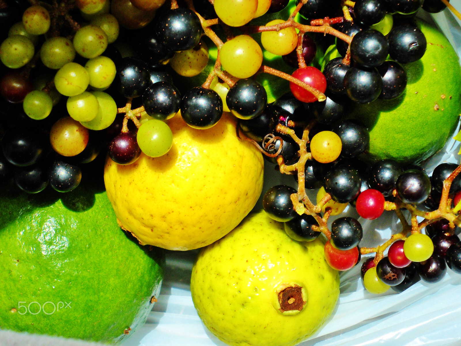 Nikon Coolpix L20 sample photo. Wild guavas & grapes photography