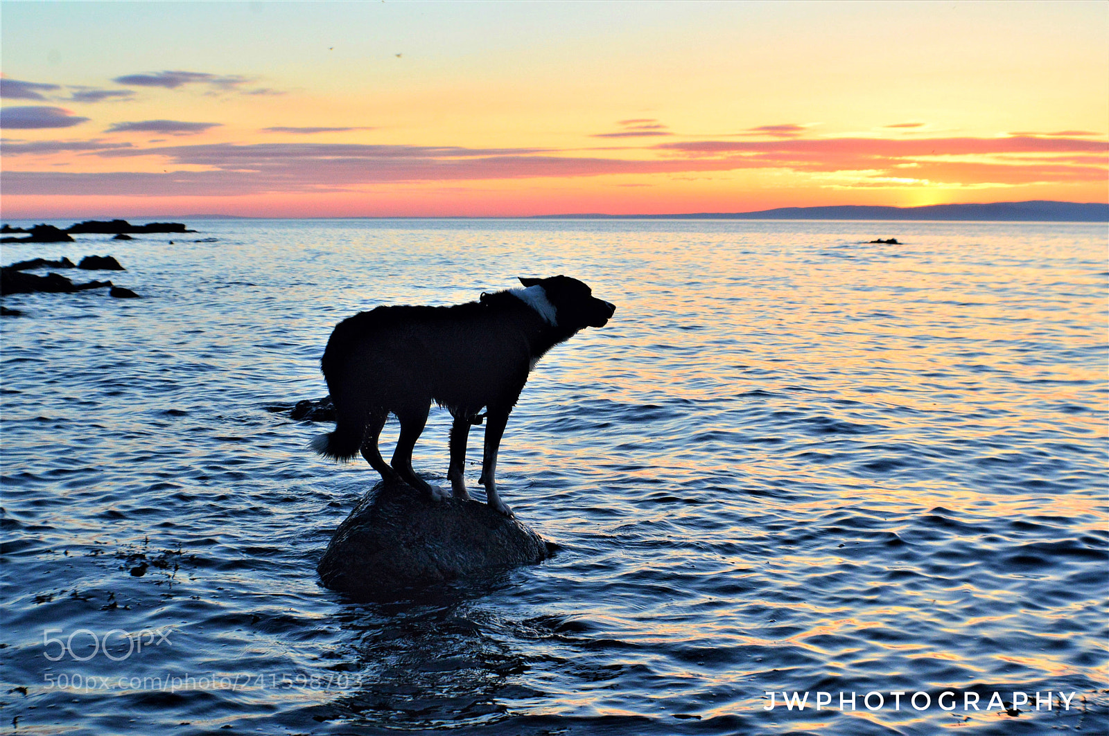 Nikon D3200 sample photo. Mr sam, watching the photography