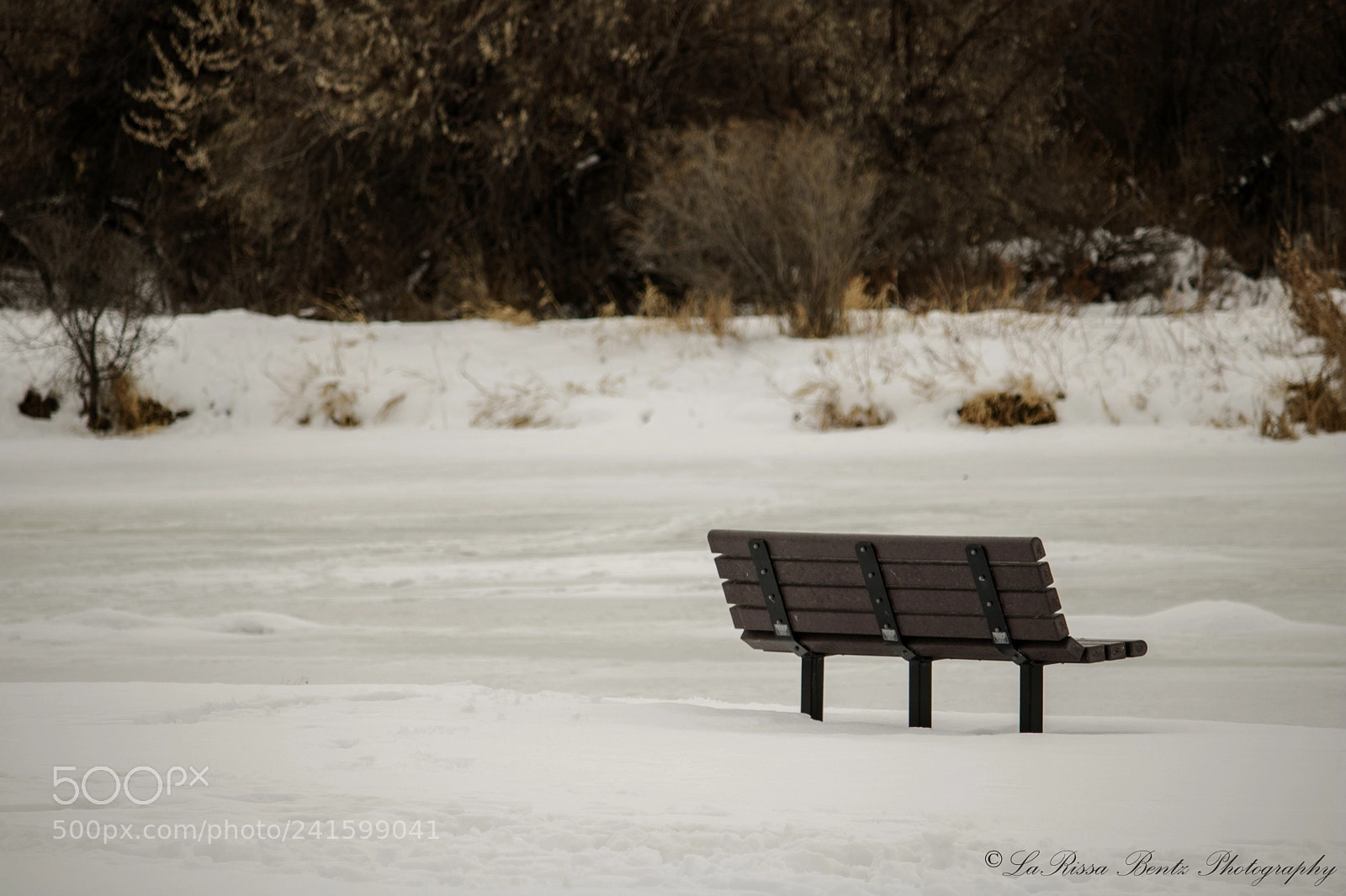 Canon EOS 750D (EOS Rebel T6i / EOS Kiss X8i) sample photo. Solitude photography